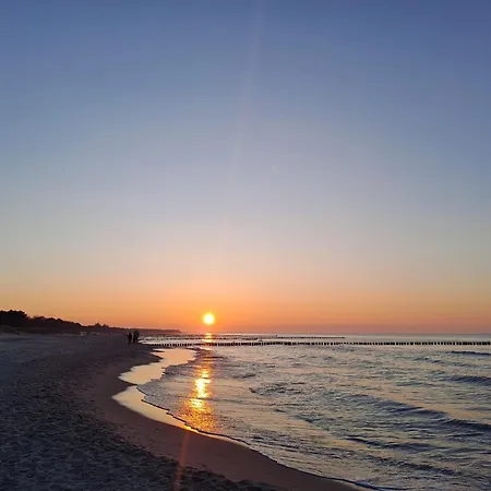 Karina's Daire Zingst